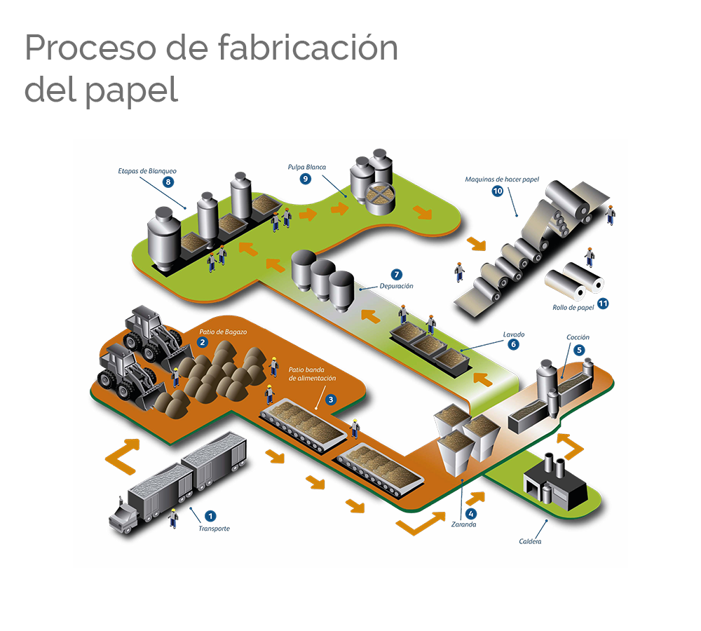 proceso-de-papel-caña-de-azucar-ecologico-colombia-1